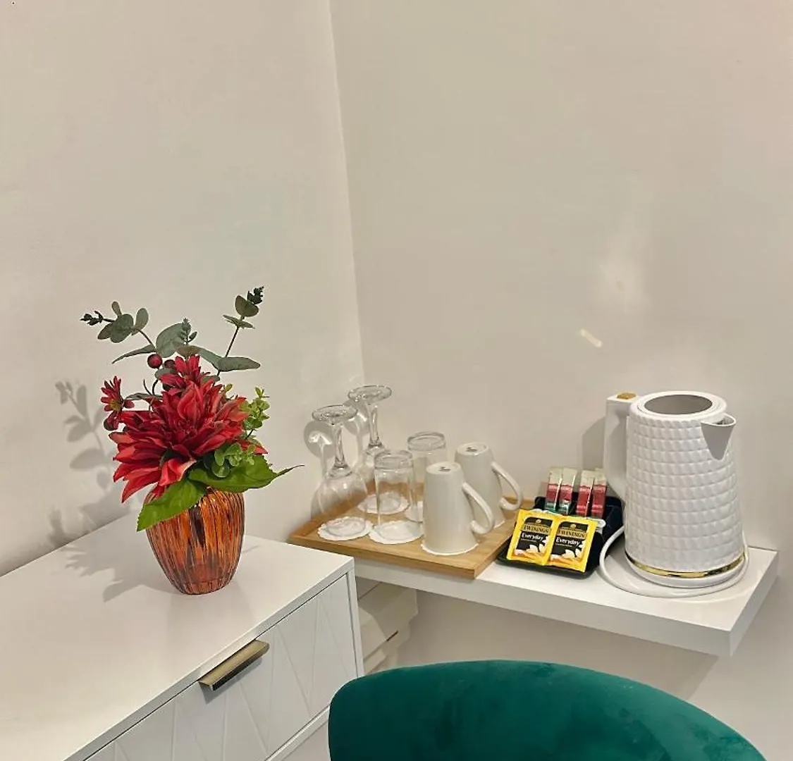 The Green Luxe En-Suite In Stratford 伦敦 英国